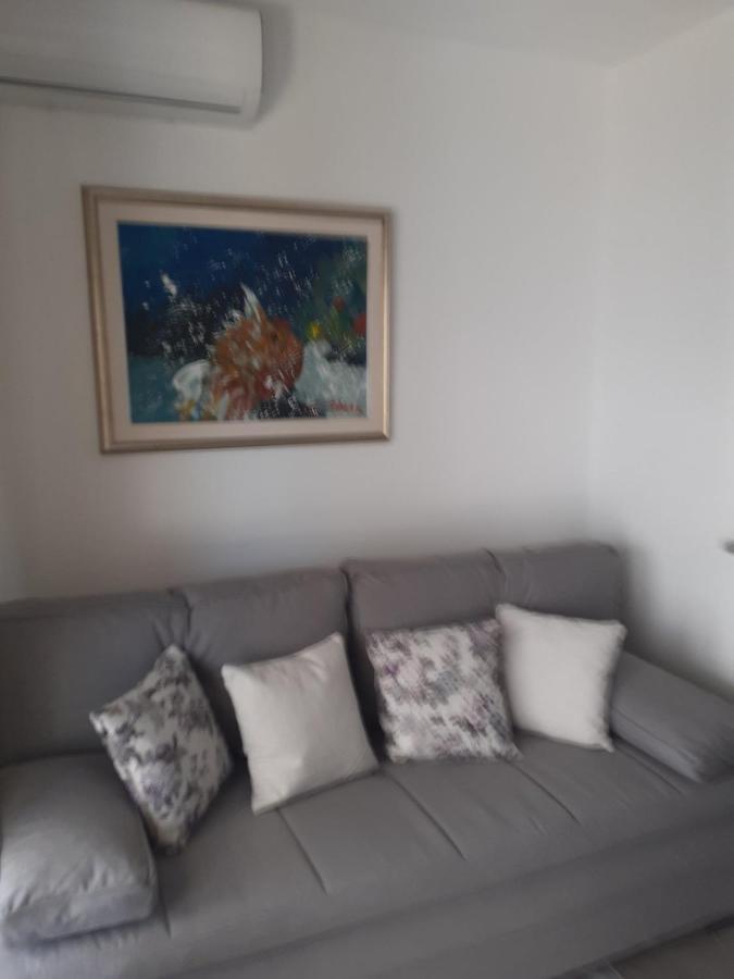 Pavel, Studio Apartman Privlaka  Buitenkant foto